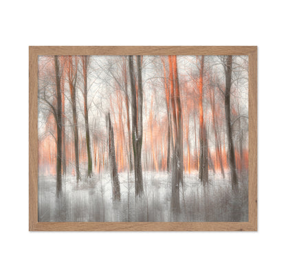 Evening Light Forest Abstract