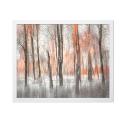 Evening Light Forest Abstract