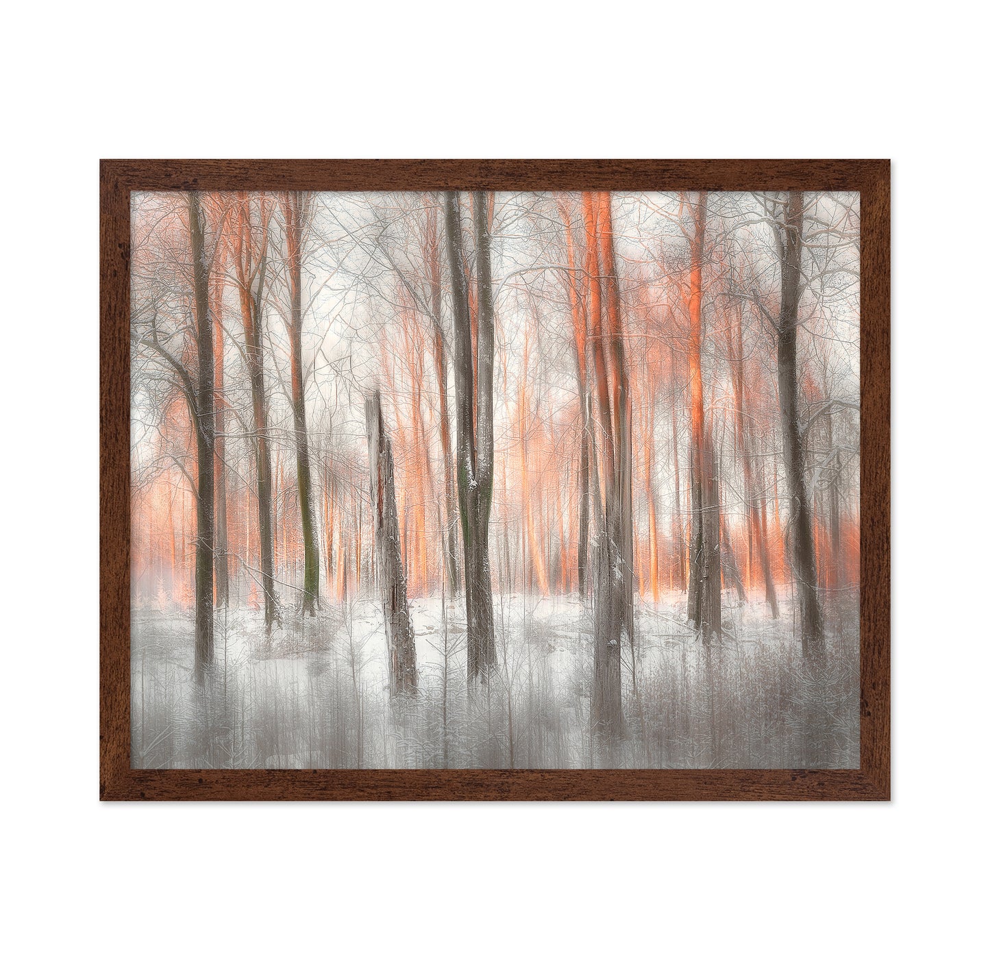 Evening Light Forest Abstract