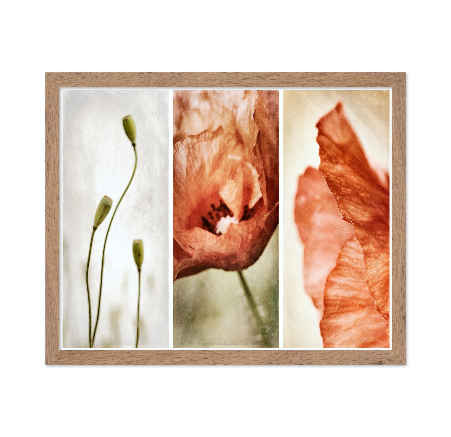 Poppy Triptych