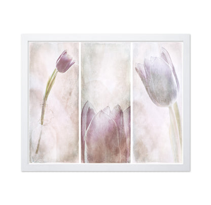 Tulip Triptych