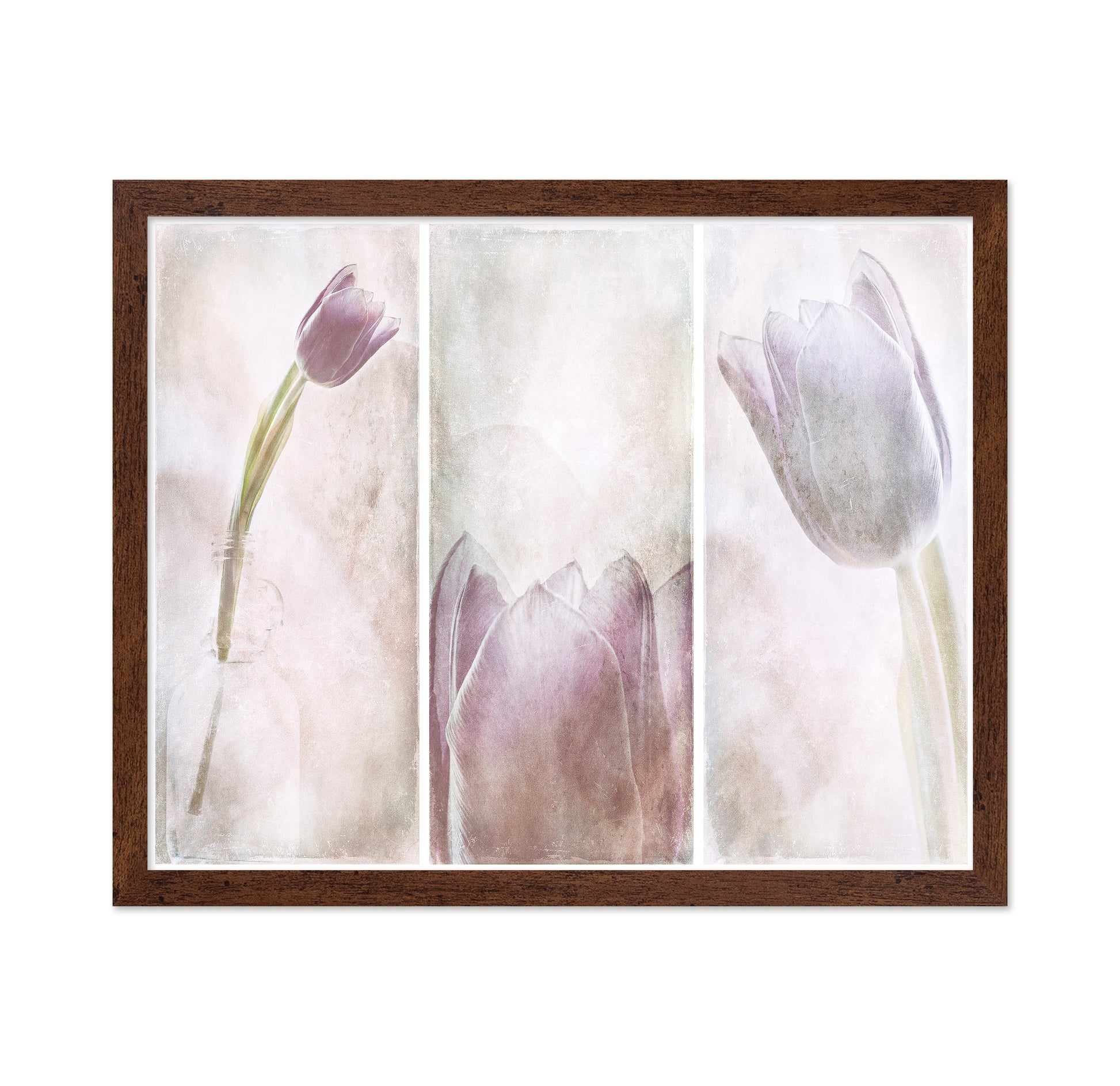 Tulip Triptych