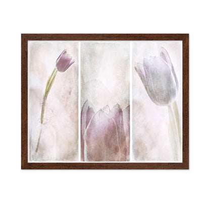 Tulip Triptych