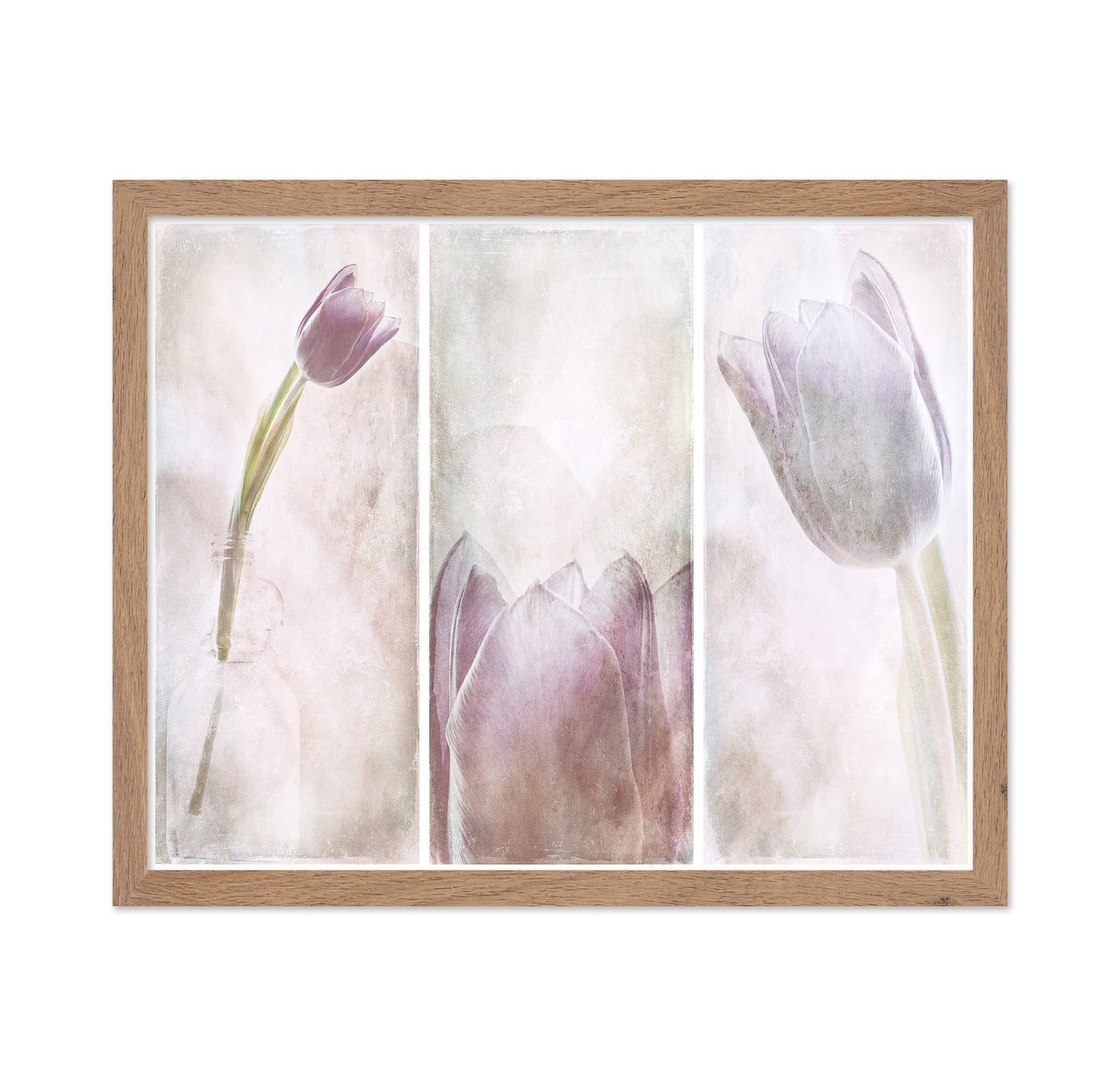 Tulip Triptych