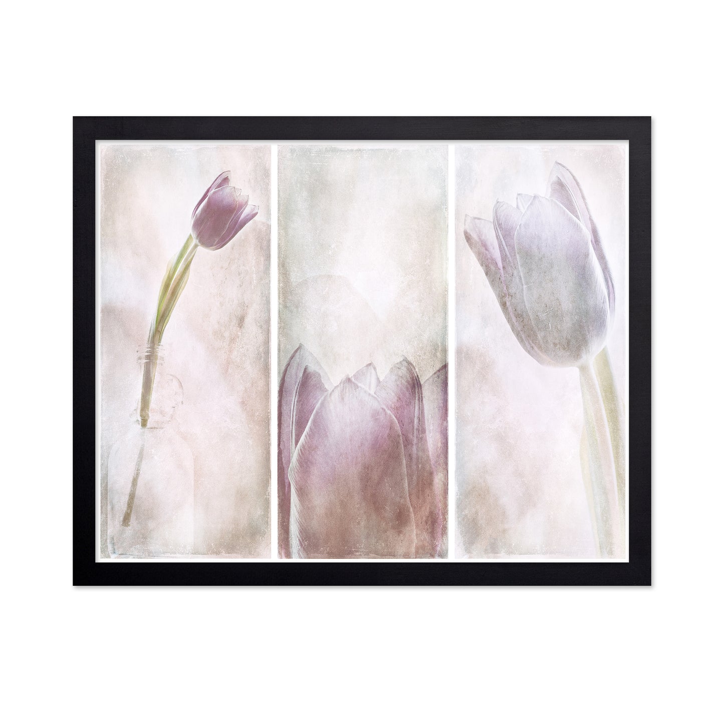 Tulip Triptych