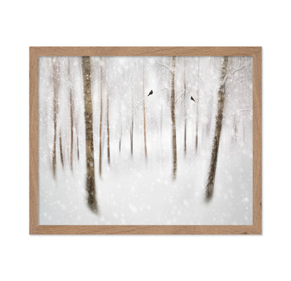 Winter Birches