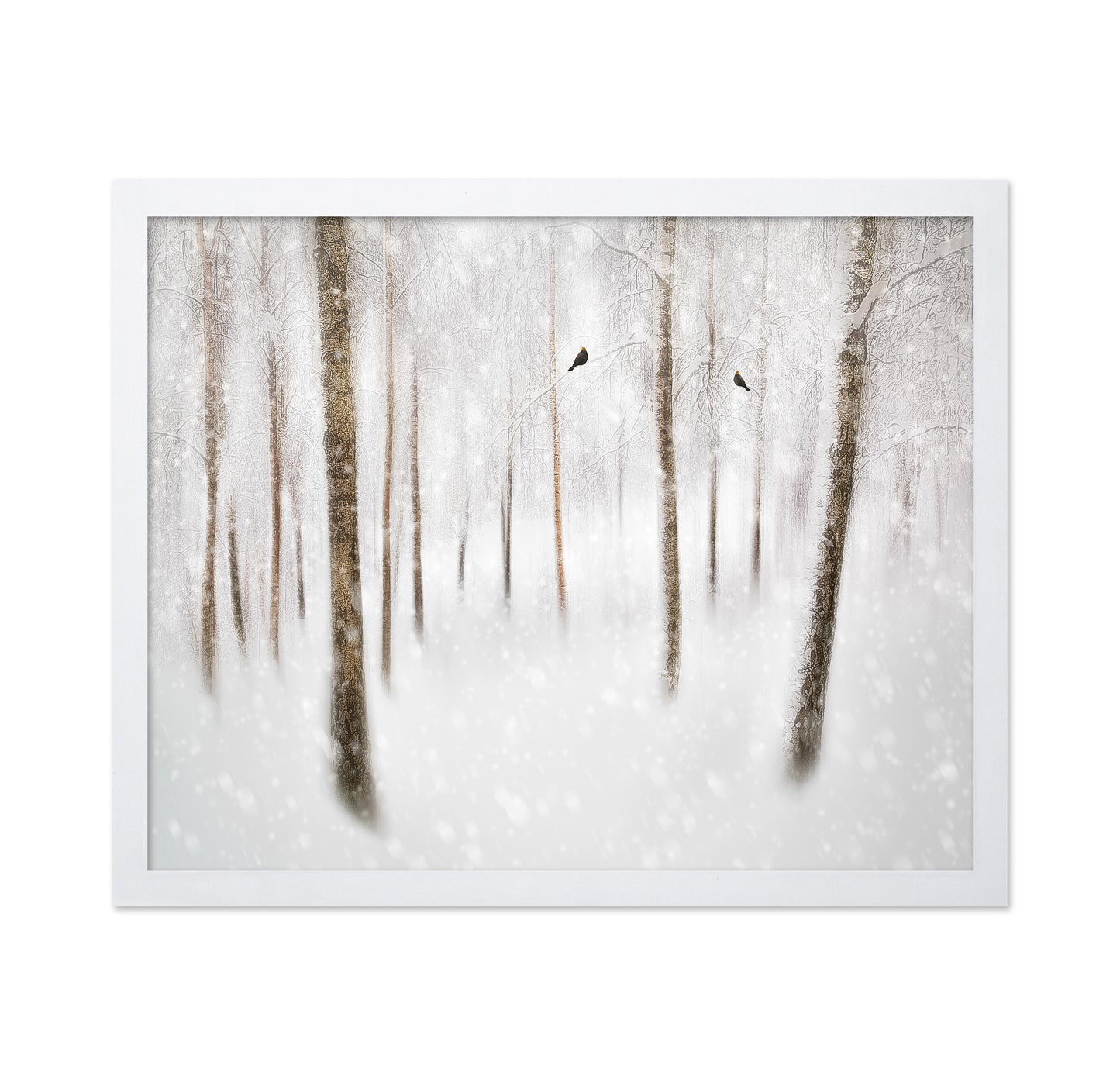 Winter Birches