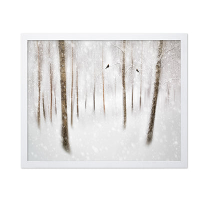 Winter Birches