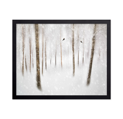 Winter Birches