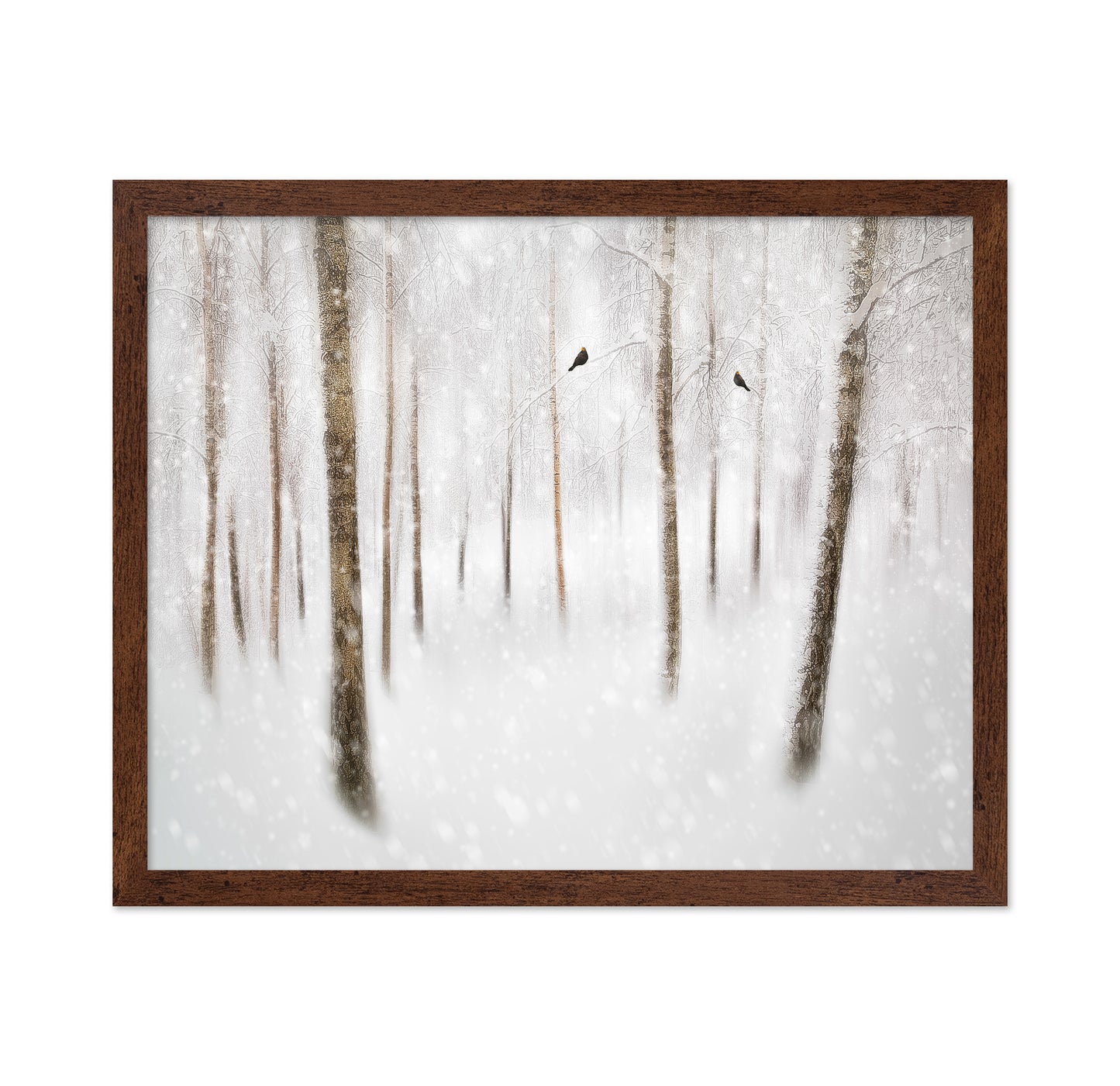 Winter Birches