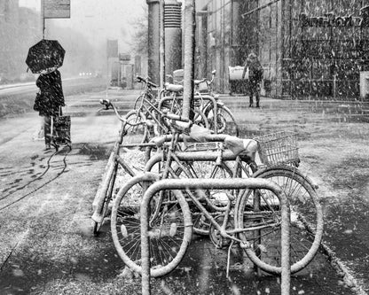 Winter in the City