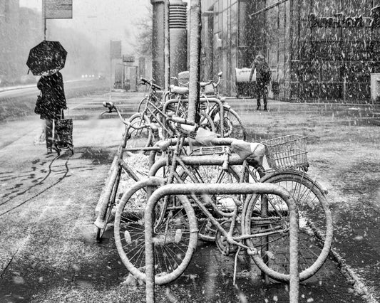 Winter in the City