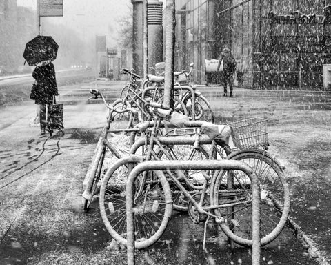 Winter in the City