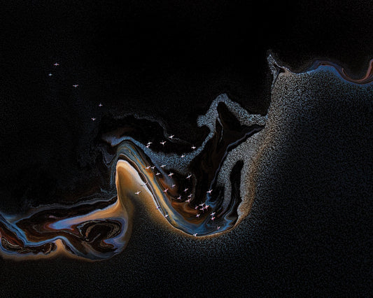 Flamingo Over Lake