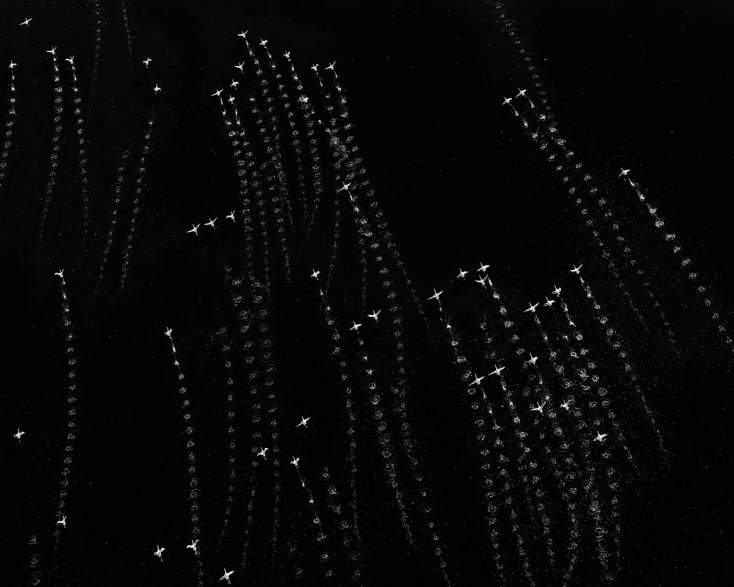 Celestial Migration