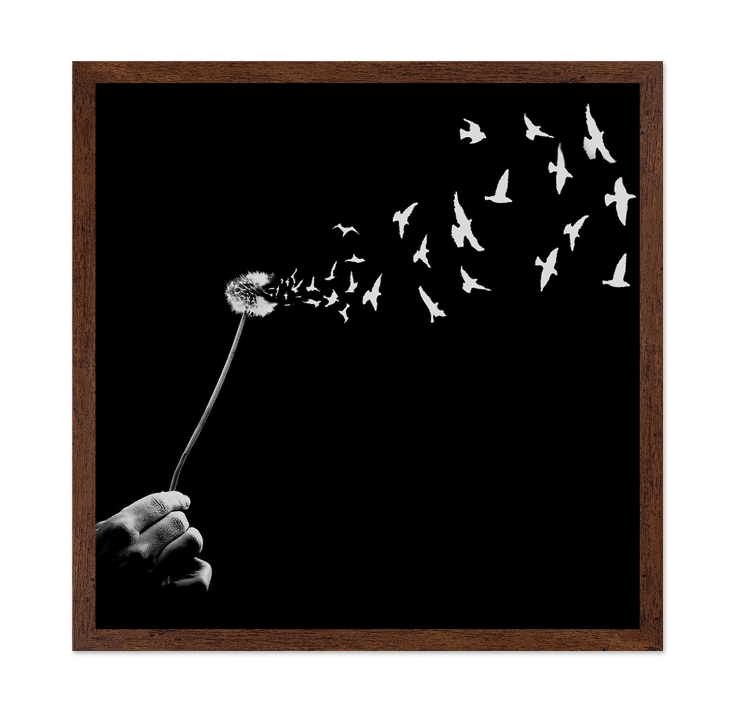 Freedom No 2