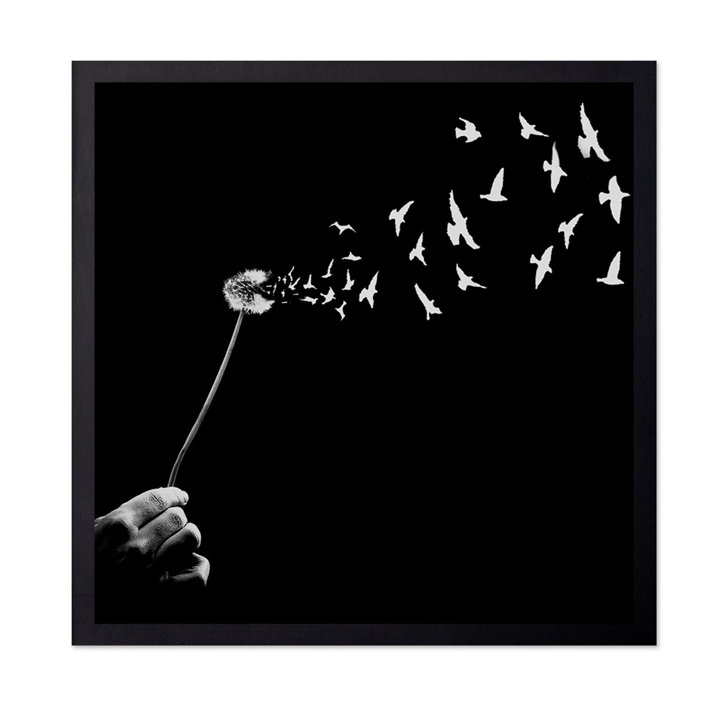 Freedom No 2