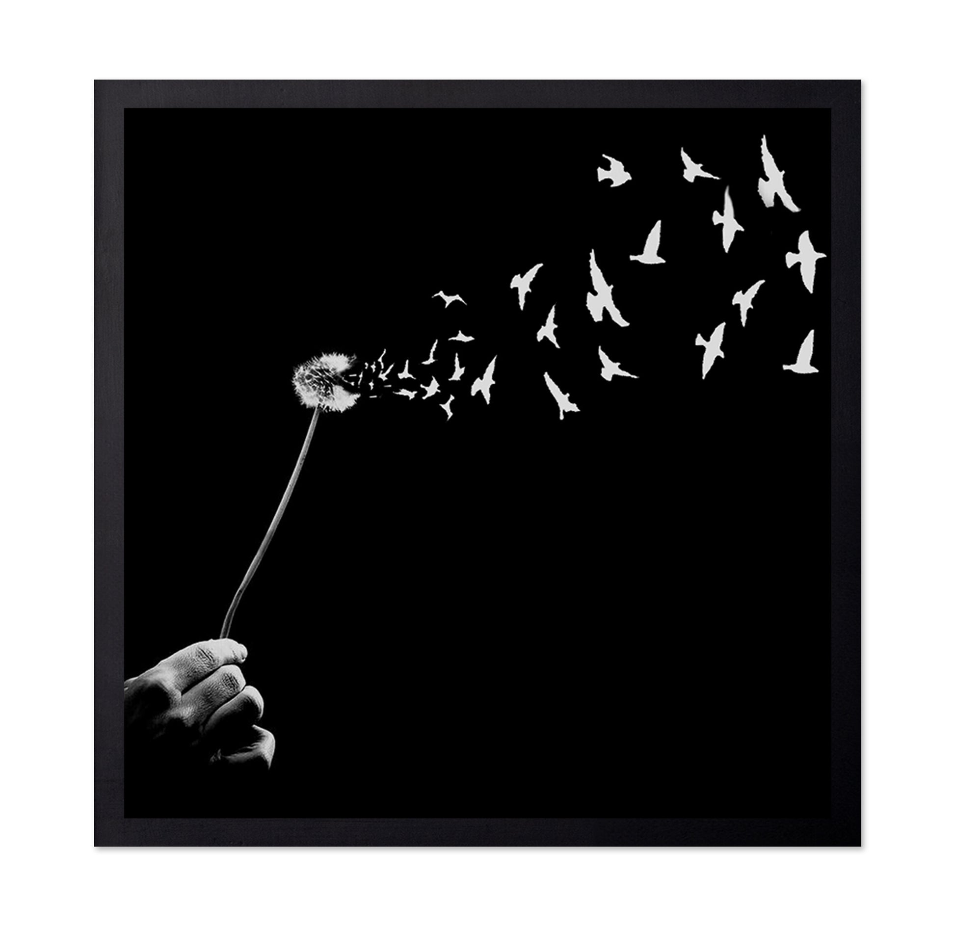 Freedom No 2