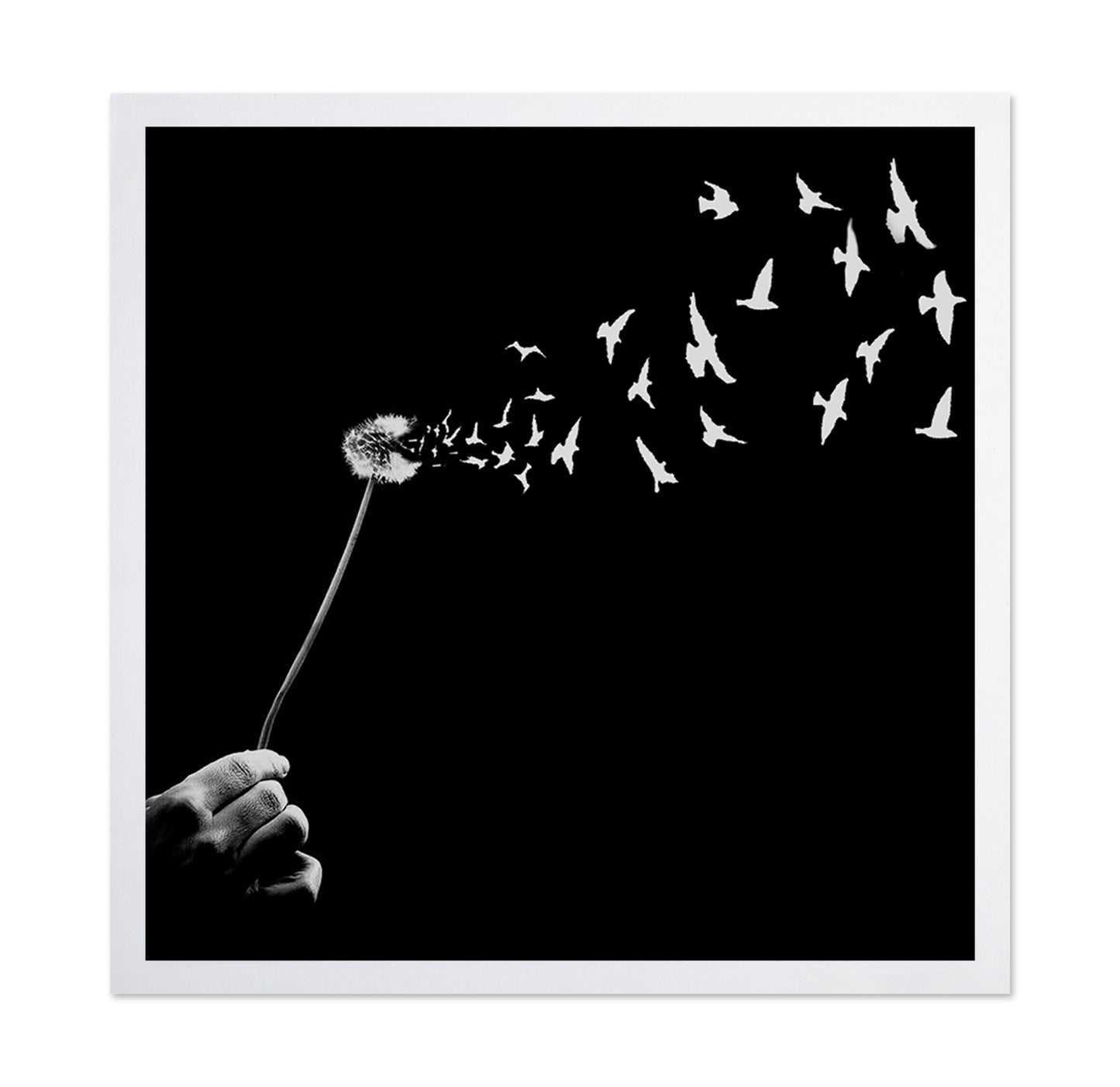 Freedom No 2