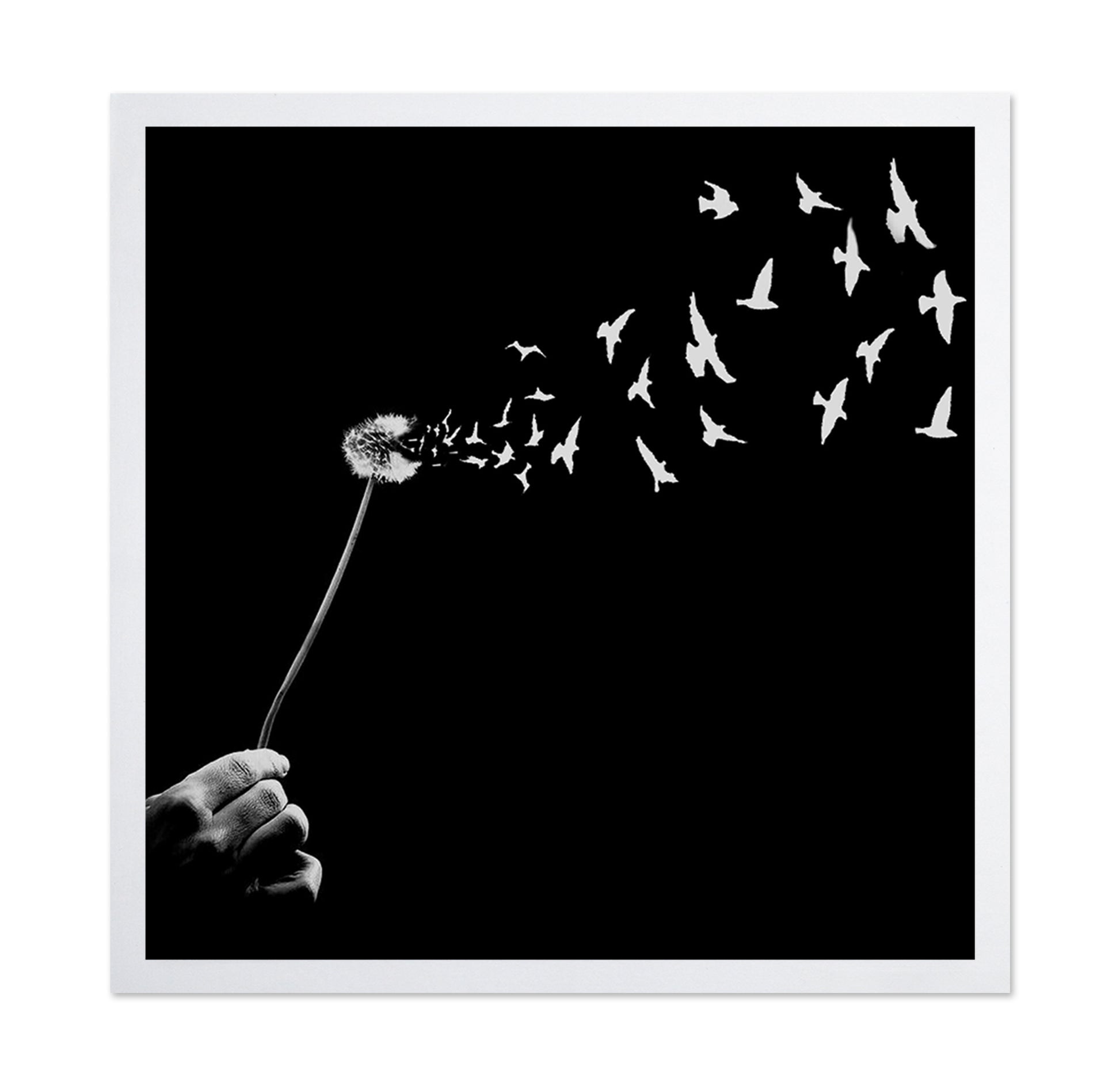 Freedom No 2