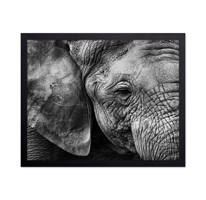 Elephant Skin