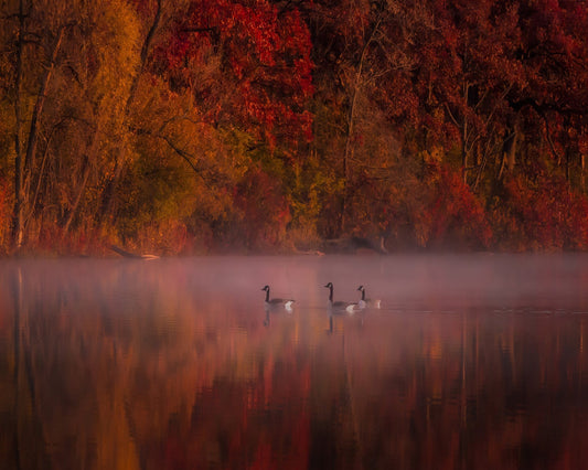 Autumn Impression