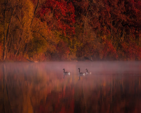 Autumn Impression
