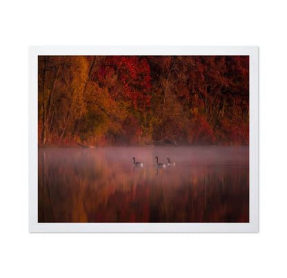 Autumn Impression