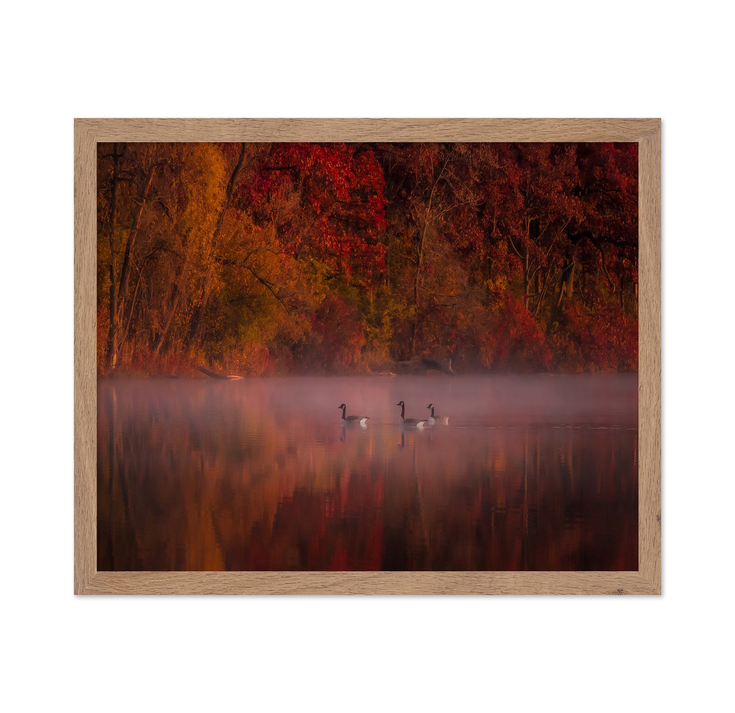 Autumn Impression