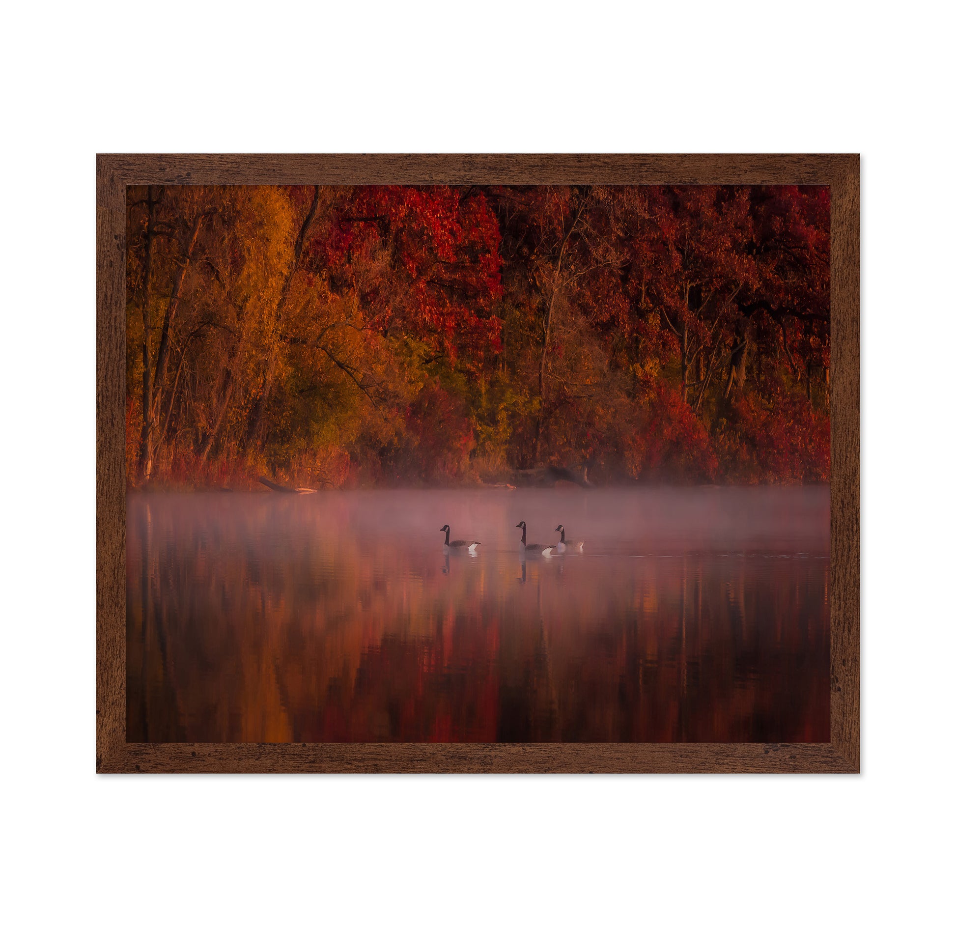 Autumn Impression