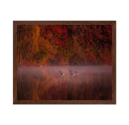 Autumn Impression