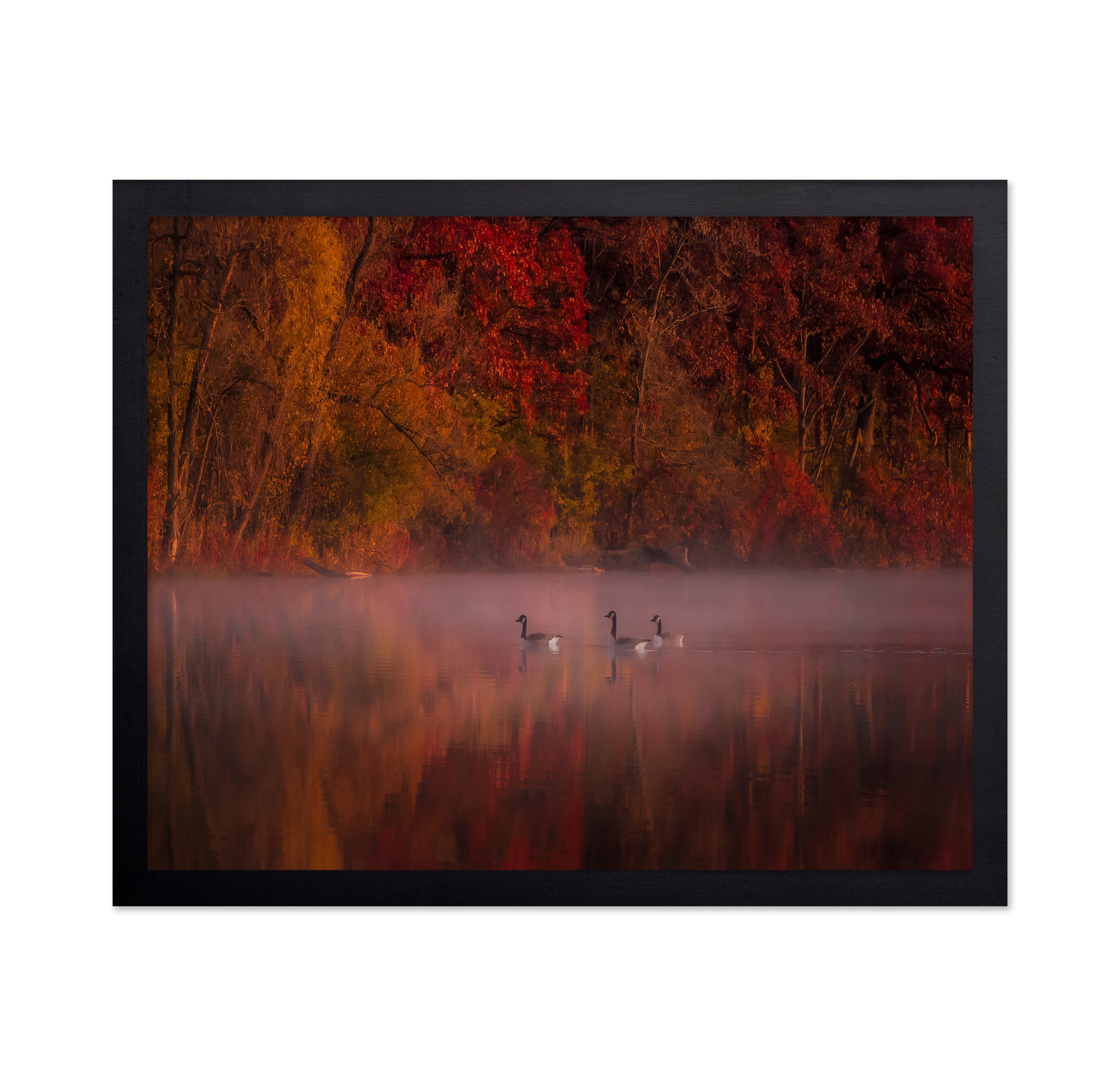 Autumn Impression