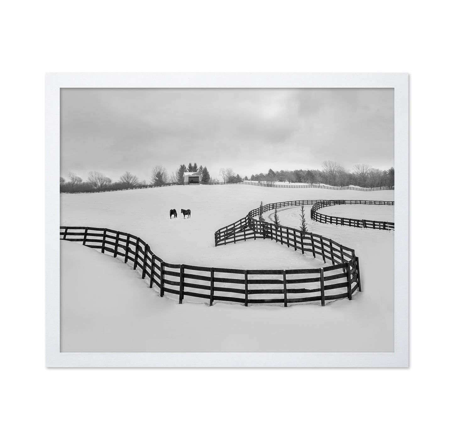 Winter Snake