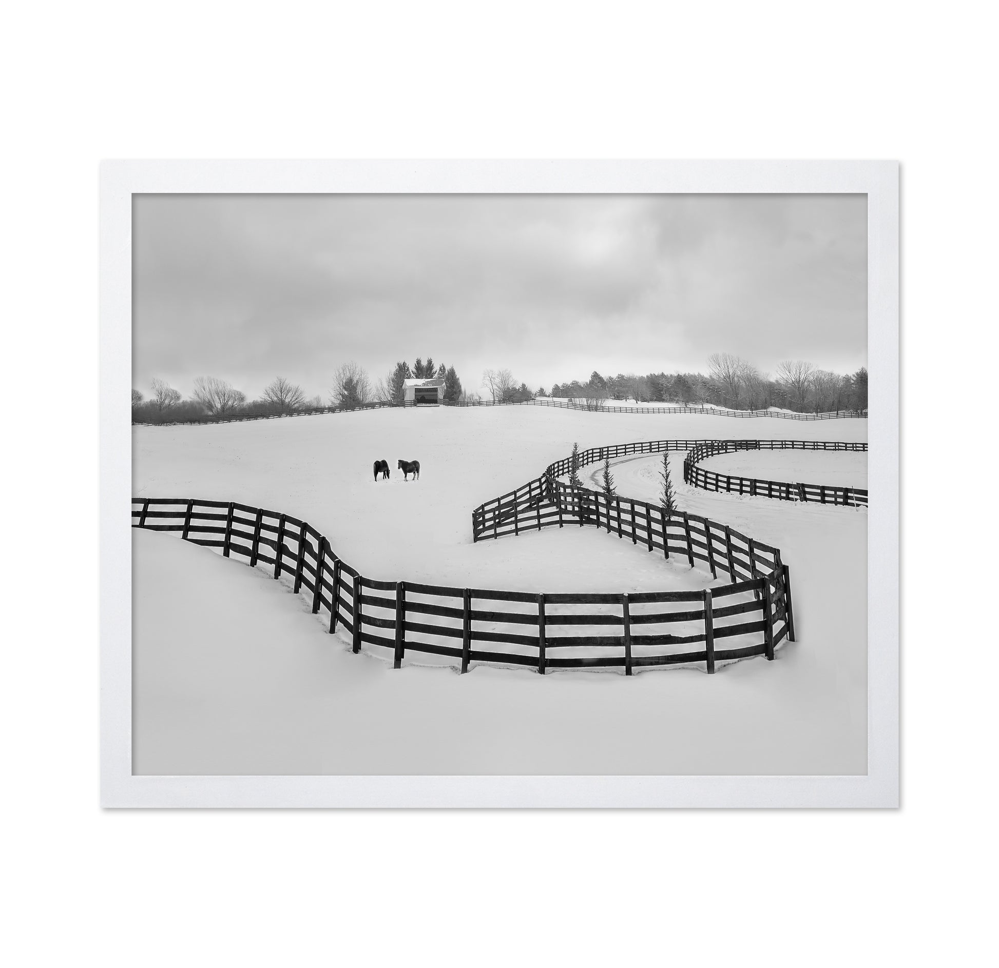 Winter Snake