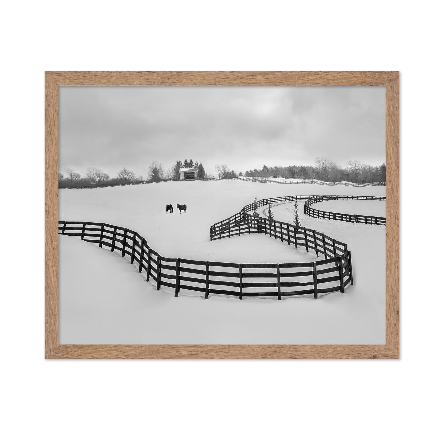 Winter Snake