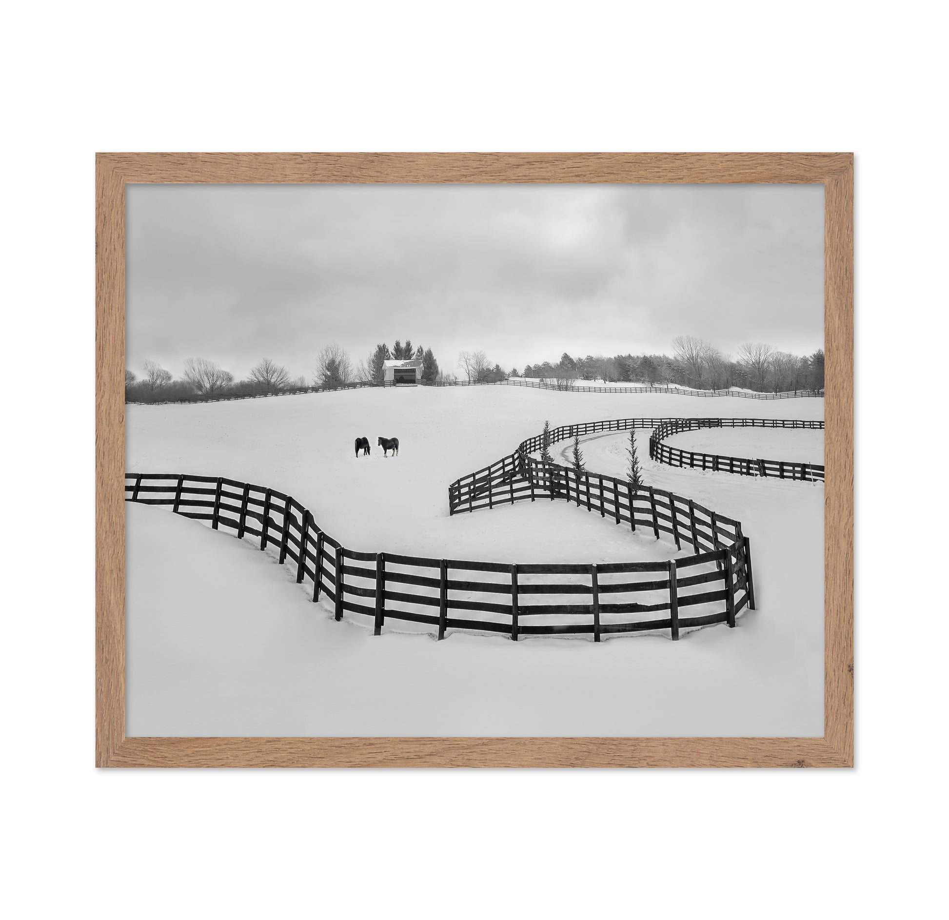 Winter Snake
