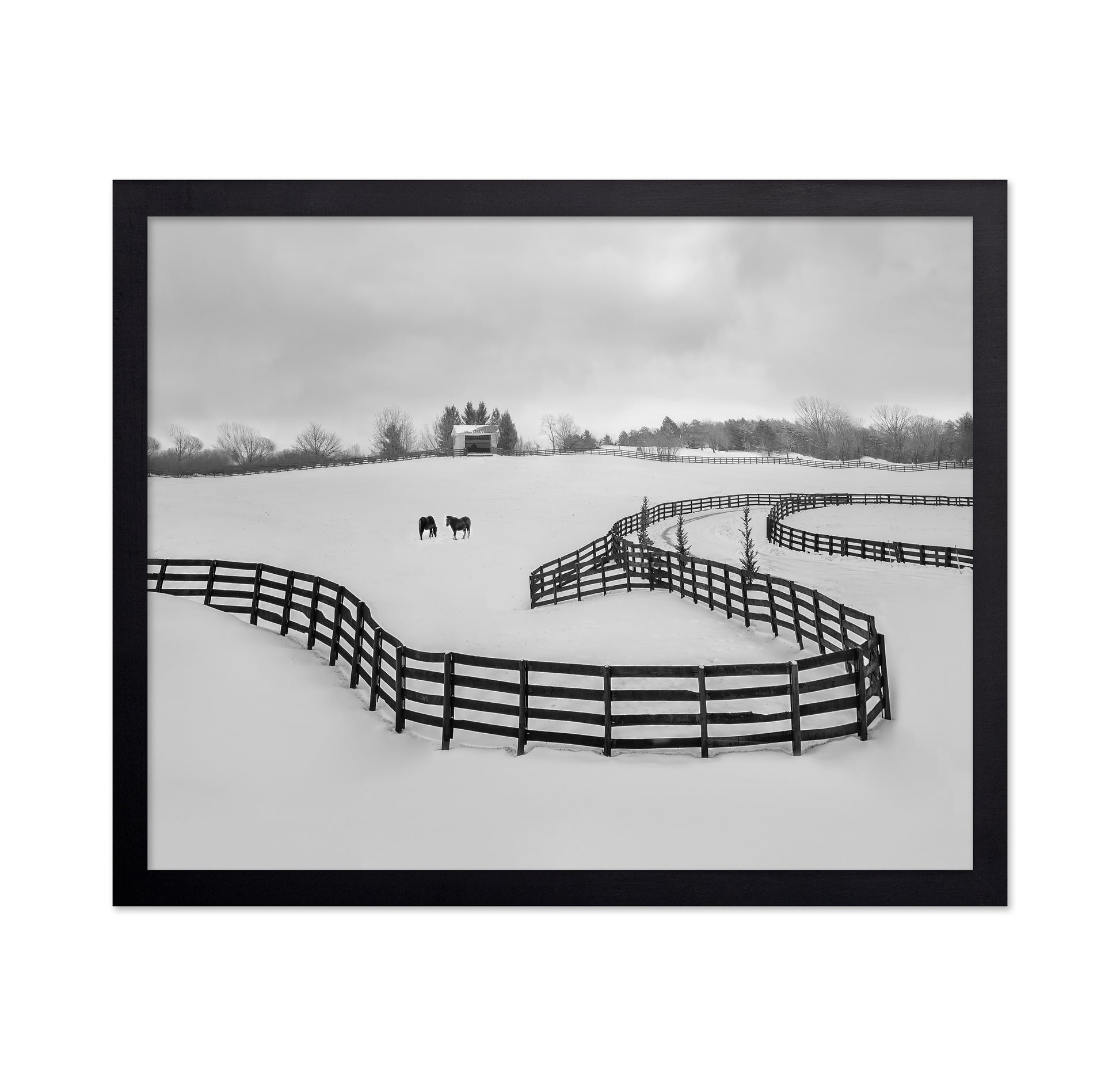 Winter Snake