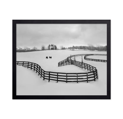 Winter Snake