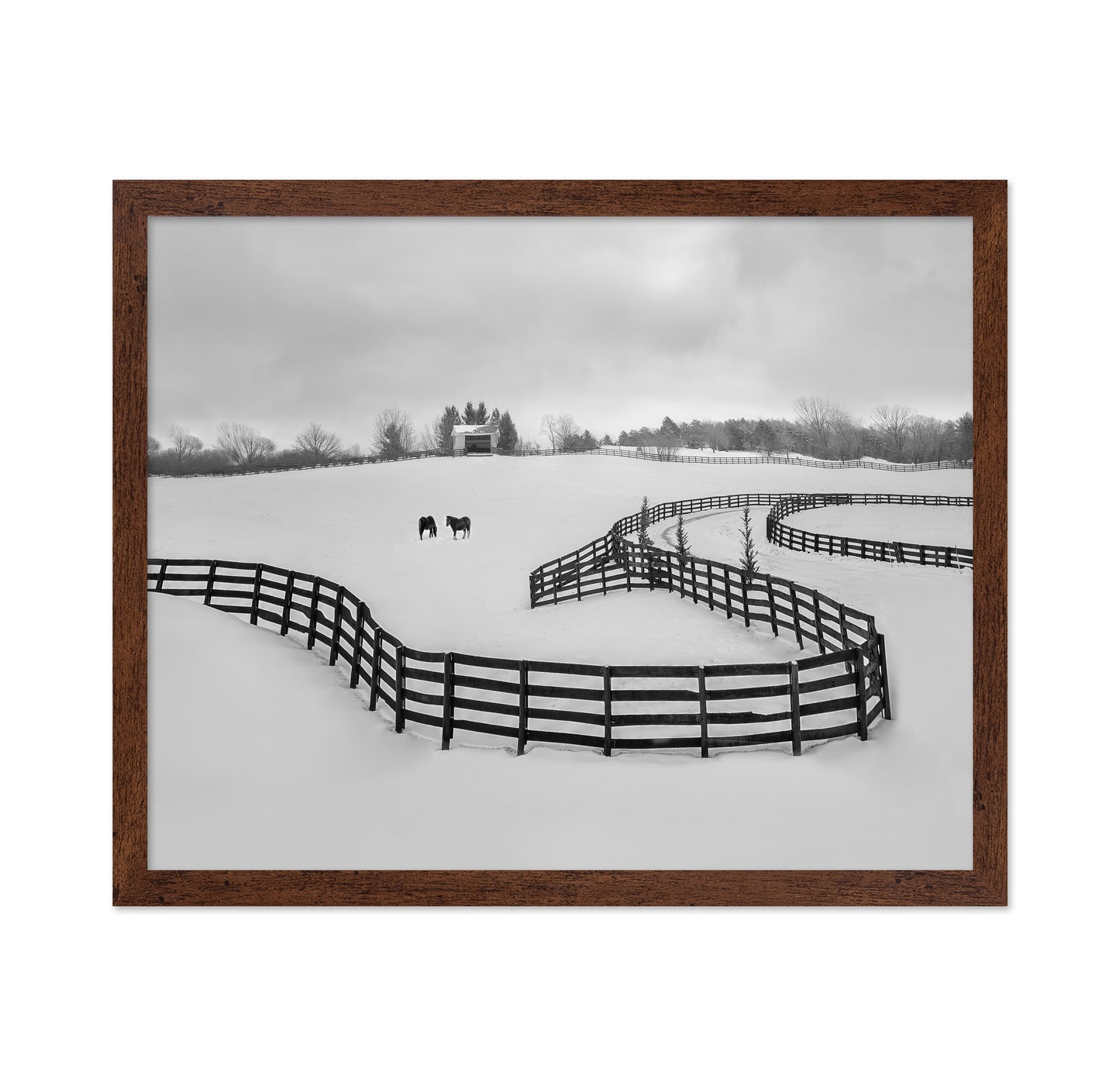 Winter Snake