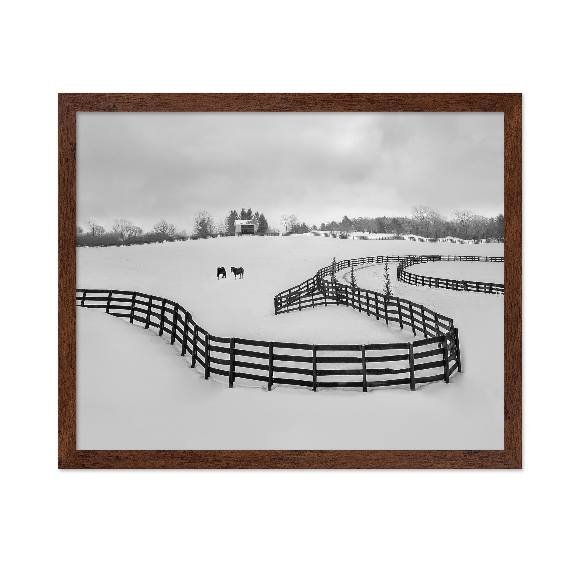 Winter Snake