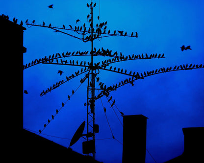 Night Meeting