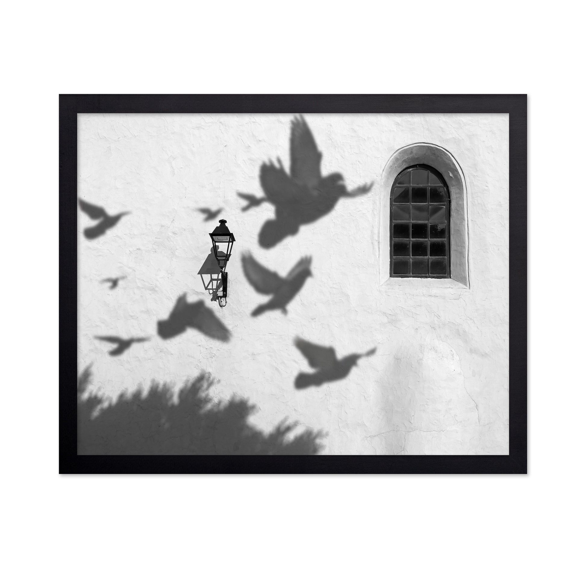 Birds in Shadow
