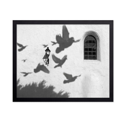 Birds in Shadow