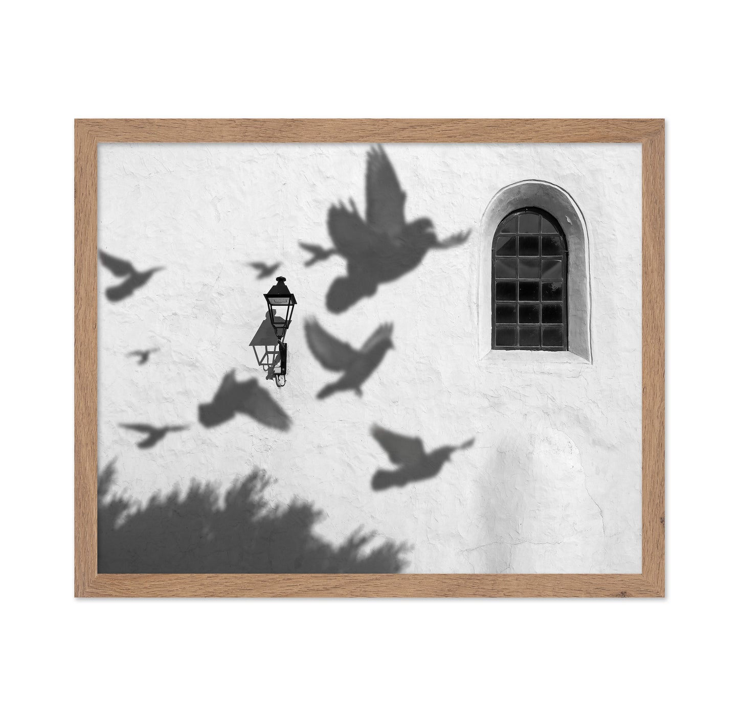 Birds in Shadow