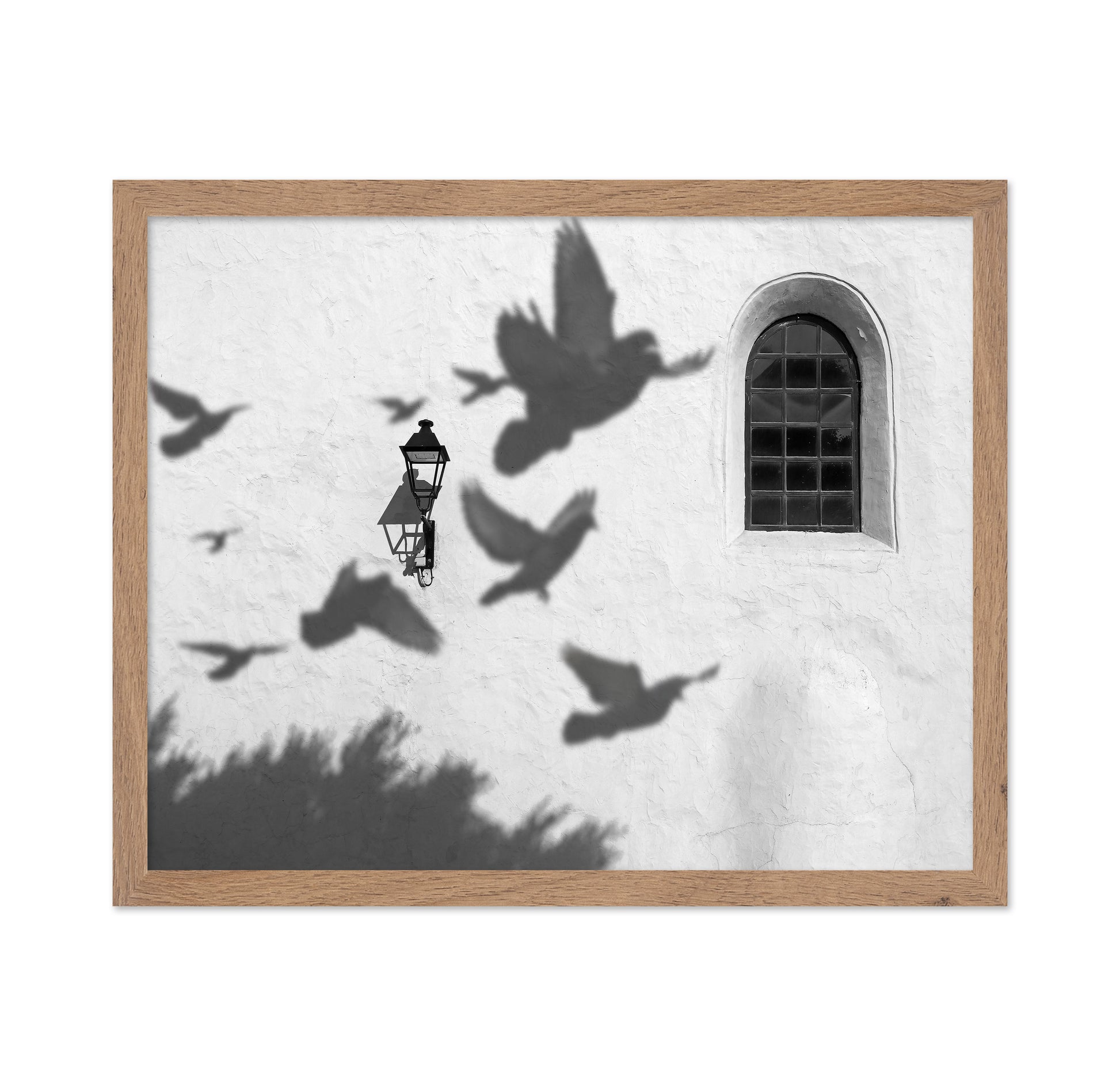 Birds in Shadow