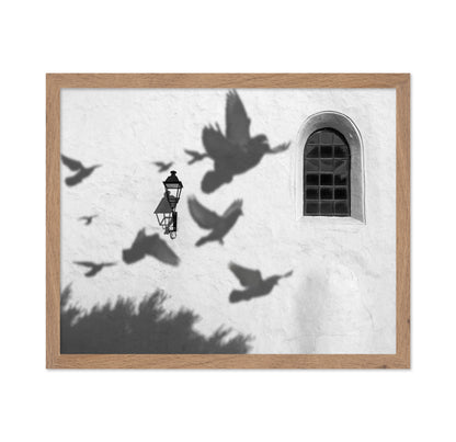 Birds in Shadow