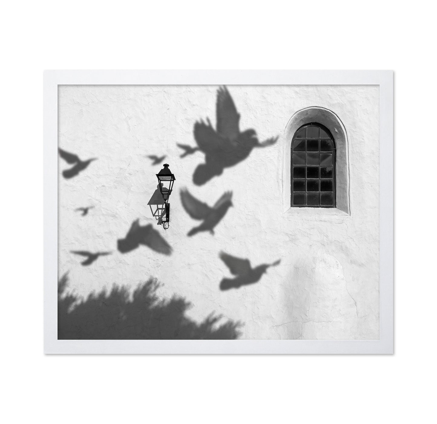 Birds in Shadow