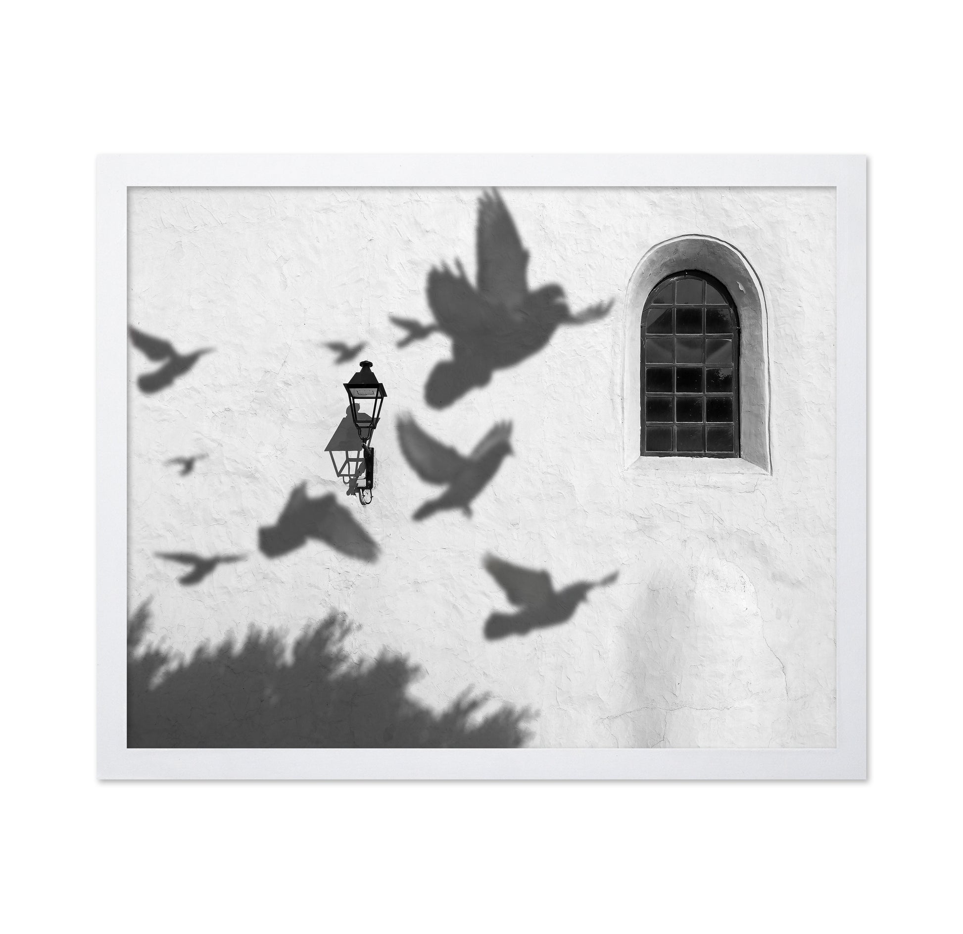 Birds in Shadow