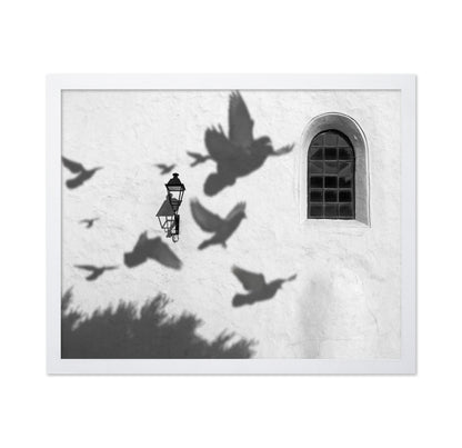 Birds in Shadow