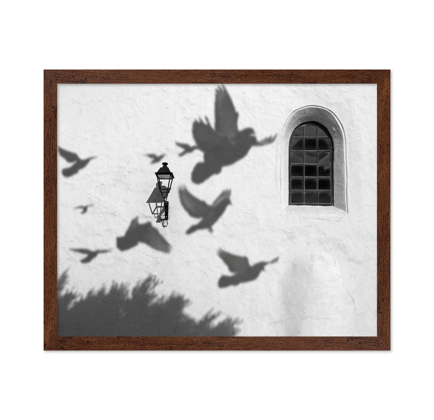 Birds in Shadow